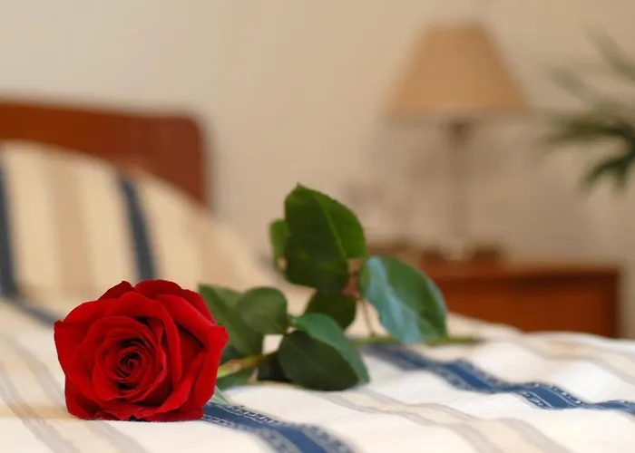 Rosina Μακάρσκα